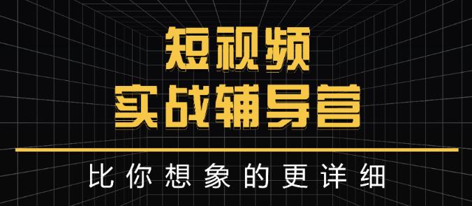 达人队长:短视频实战辅导营，比你想象的更详细_金轩项目库