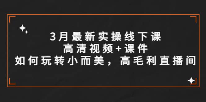 3月最新实操线下课高清视频+课件，如何玩转小而美，高毛利直播间_金轩项目库