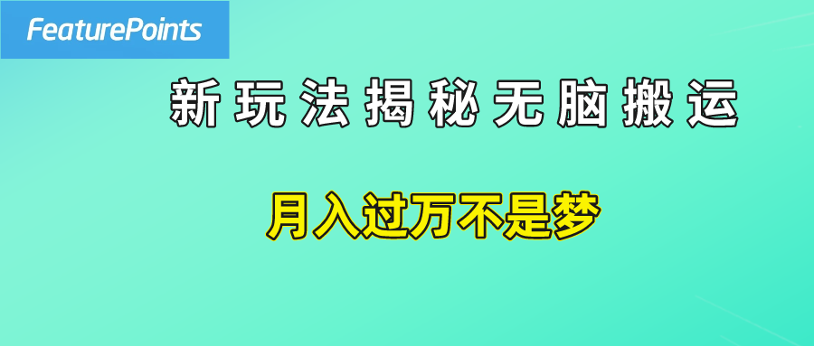 简单操作，每天50美元收入，搬运就是赚钱的秘诀！_金轩项目库