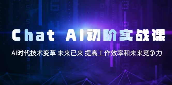 Chat AI初阶实战课，AI时代技术变革 未来已来 提高工作效率和未来竞争力_金轩项目库