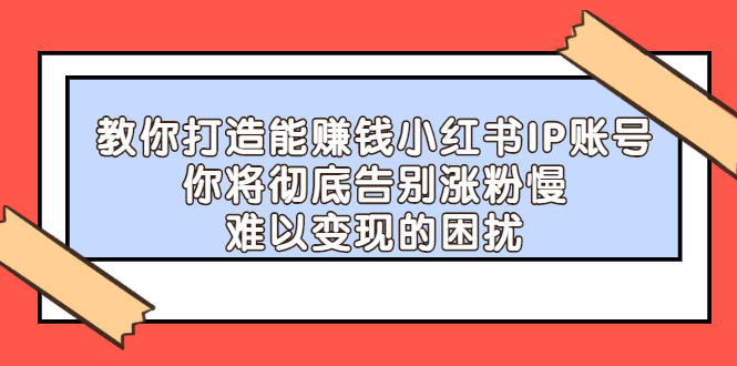 教你打造能赚钱小红书IP账号，了解透彻小红书的真正玩法_金轩项目库