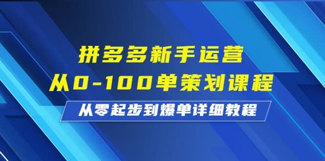 拼多多新手运营从0-100单策划课程，从零起步到爆单详细教程_金轩项目库