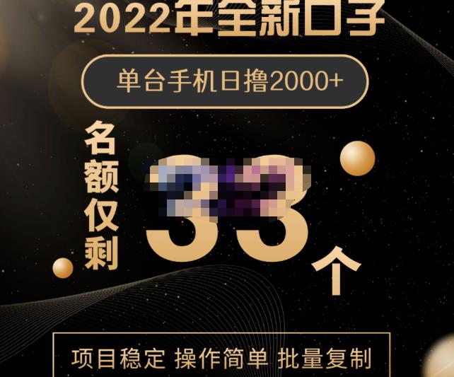 2022年全新口子，手机批量搬砖玩法，一部手机日撸2000+_金轩项目库