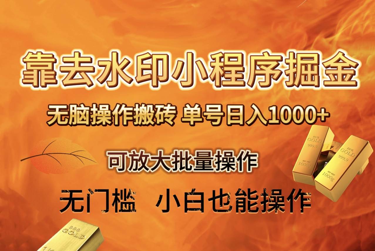 去水印小程序+拼多多 无脑搬砖 ，单号日入1000+ 保姆级教程 可放大批量操作_金轩项目库