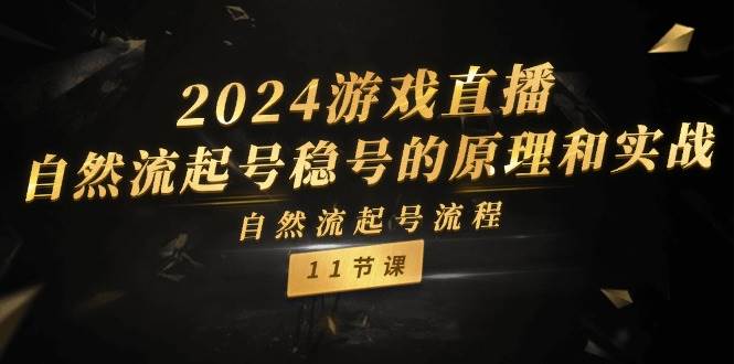 2024游戏直播-自然流起号稳号的原理和实战，自然流起号流程（11节）_金轩项目库