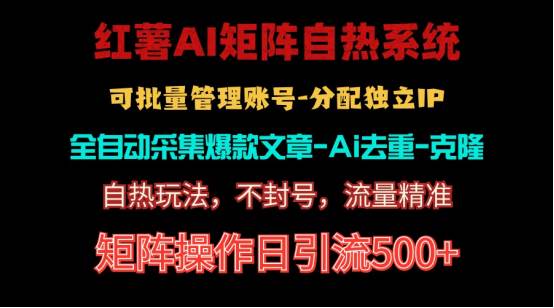 红薯矩阵自热系统，独家不死号引流玩法！矩阵操作日引流500+_金轩项目库