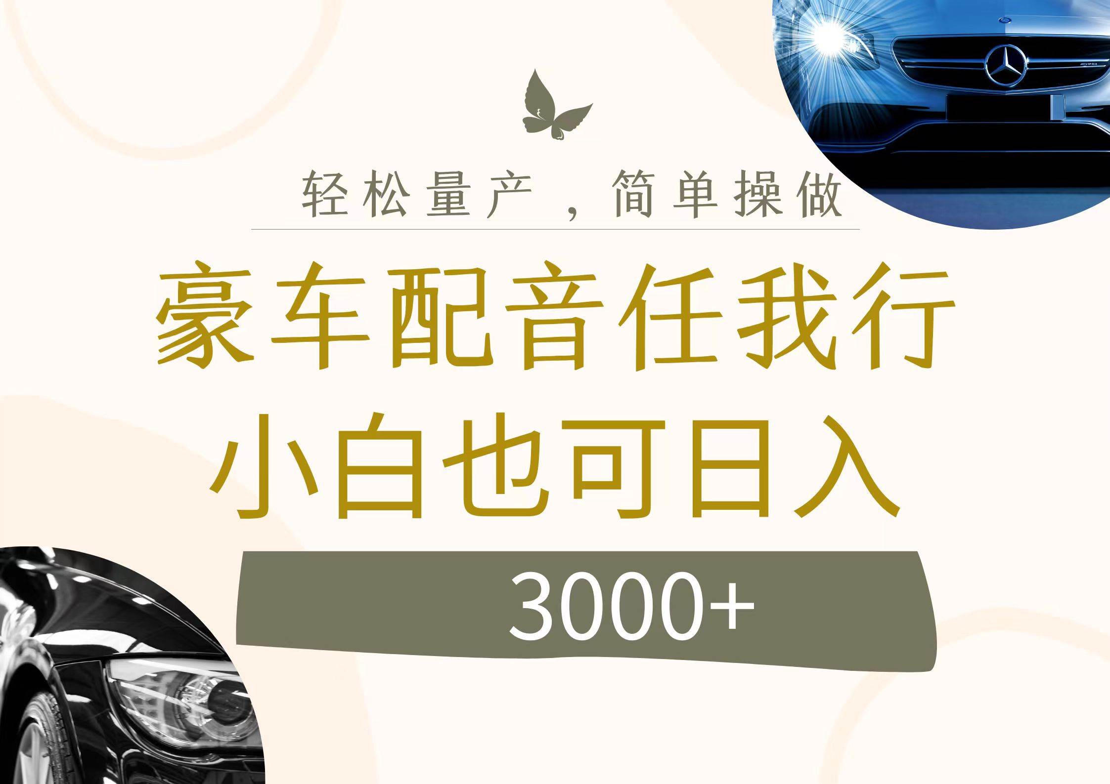 不为人知的暴力小项目，豪车配音，日入3000+_金轩项目库