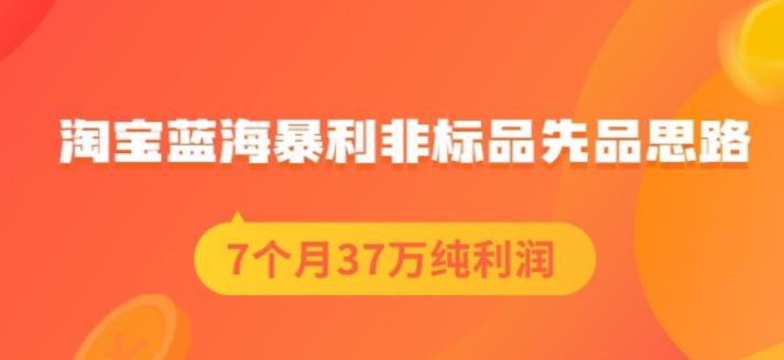盗坤淘宝蓝海暴利非标品先品思路，7个月37万纯利润，压箱干货分享！【付费文章】_金轩项目库