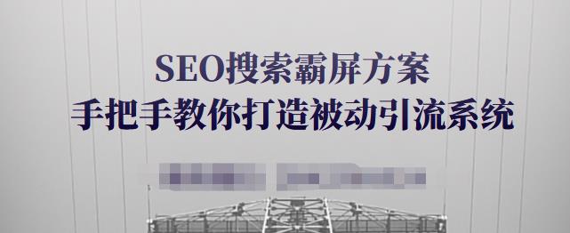 SEO搜索霸屏方案，手把手教你打造被动引流系统【视频课程】_金轩项目库