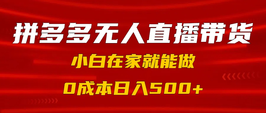 拼多多无人直播带货，小白在家就能做，0成本日入500+_金轩项目库