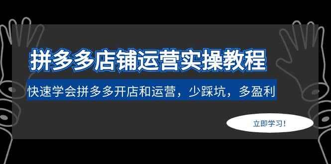 拼多多店铺运营实操教程：快速学会拼多多开店和运营，少踩坑，多盈利_金轩项目库