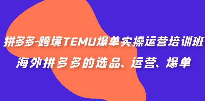 拼多多-跨境TEMU爆单实操运营培训班，海外拼多多的选品、运营、爆单_金轩项目库