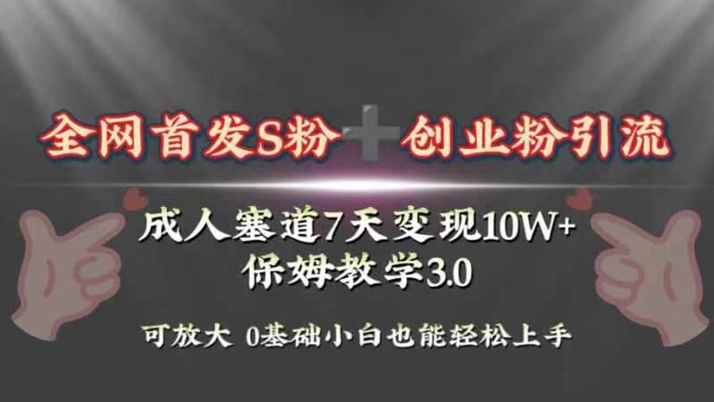 全网首发s粉加创业粉引流变现，成人用品赛道7天变现10w+保姆教学3.0_金轩项目库