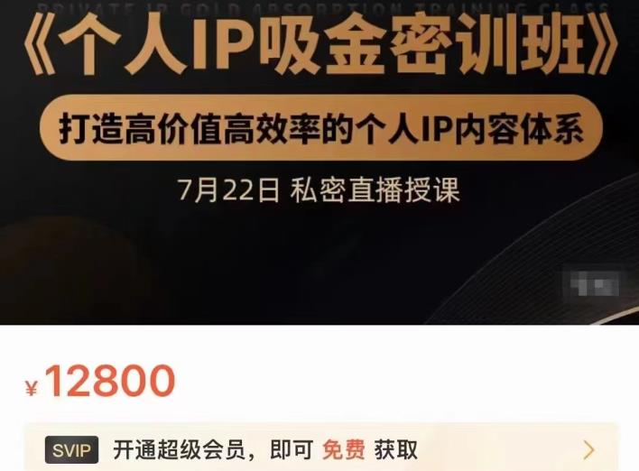 个人IP吸金密训班，打造高价值高效率的个人IP内容体系（价值12800元）_金轩项目库