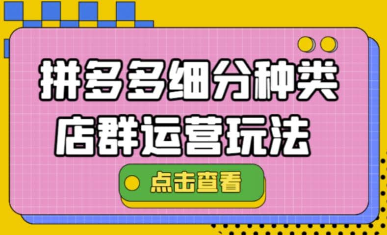 拼多多细分种类店群运营玩法3.0，11月最新玩法，小白也可以操作_金轩项目库