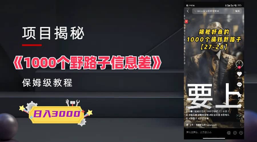 1000个野路子信息差保姆式教程-单日变现3000+的玩法解密_金轩项目库