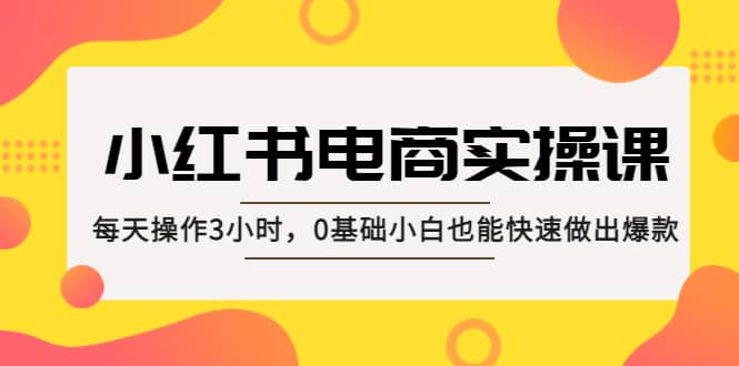 小红书·电商实操课：每天操作3小时，0基础小白也能快速做出爆款_金轩项目库