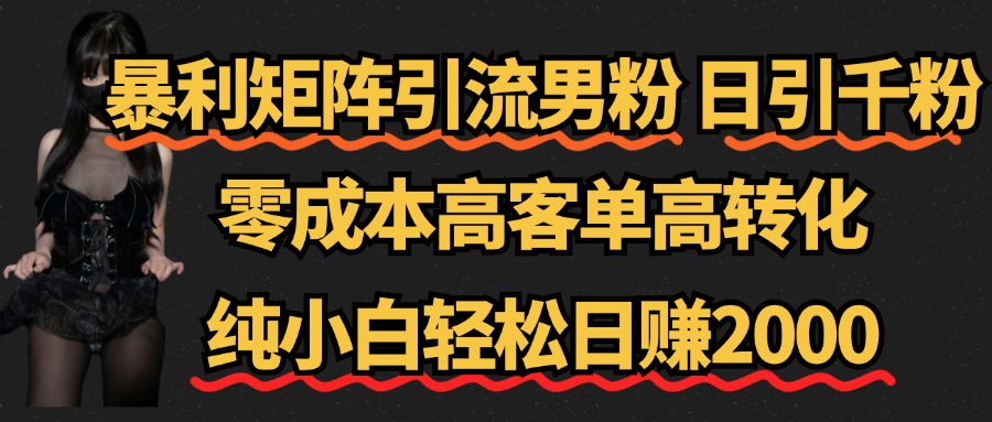 暴利矩阵引流男粉（日引千粉），零成本高客单高转化，纯小白轻松日赚2000+_金轩项目库