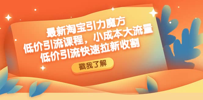最新淘宝引力魔方低价引流实操：小成本大流量_金轩项目库