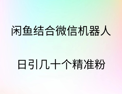 闲鱼结合微信机器人，日引几十个精准粉_金轩项目库