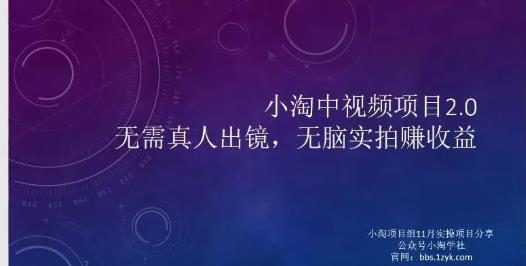 小淘项目组网赚永久会员，绝对是具有实操价值的，适合有项目做需要流程【持续更新】_金轩项目库