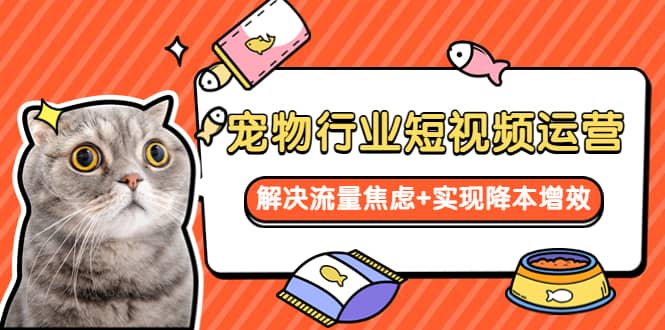 宠物/行业短视频运营 流量增长的一层窗户纸 解决流量焦虑+实现降本增效_金轩项目库