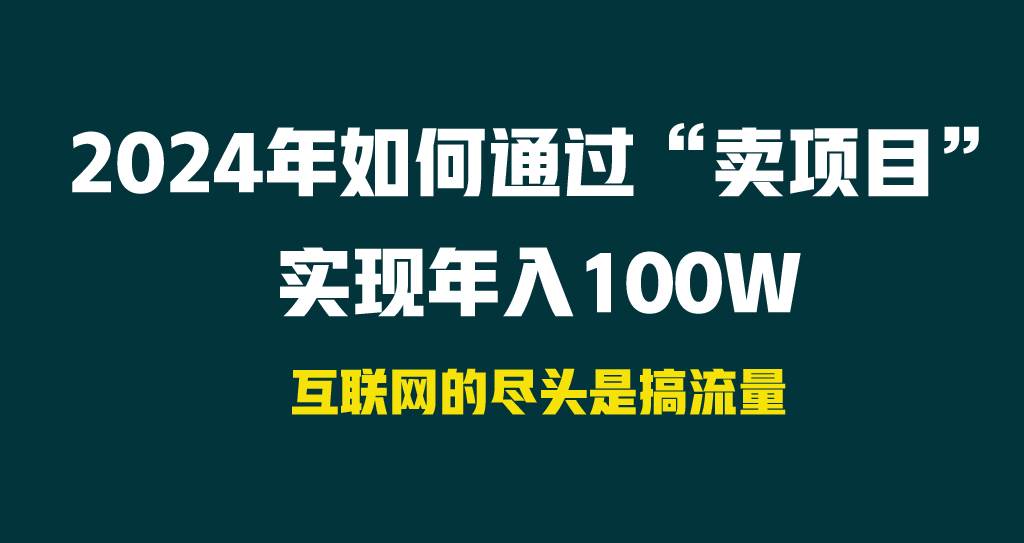 2024年如何通过“卖项目”实现年入100W_金轩项目库