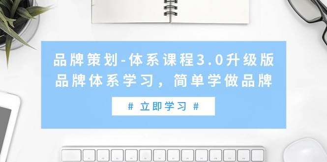 品牌策划-体系课程3.0升级版，品牌体系学习，简单学做品牌（高清无水印）_金轩项目库