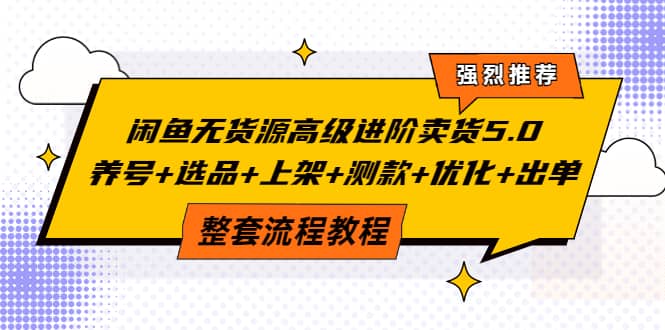 闲鱼无货源高级进阶卖货5.0，养号+选品+上架+测款+优化+出单整套流程教程_金轩项目库