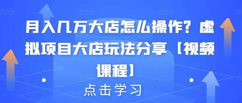 月入几万大店怎么操作？虚拟项目大店玩法分享【视频课程】_金轩项目库