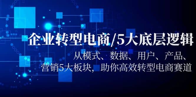 企业转型电商/5大底层逻辑，从模式 数据 用户 产品 营销5大板块，高效转型_金轩项目库