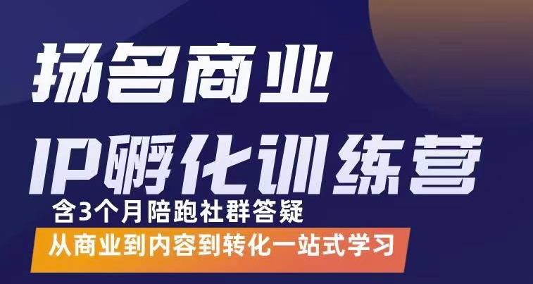 杨名商业IP孵化训练营，从商业到内容到转化一站式学 价值5980元_金轩项目库