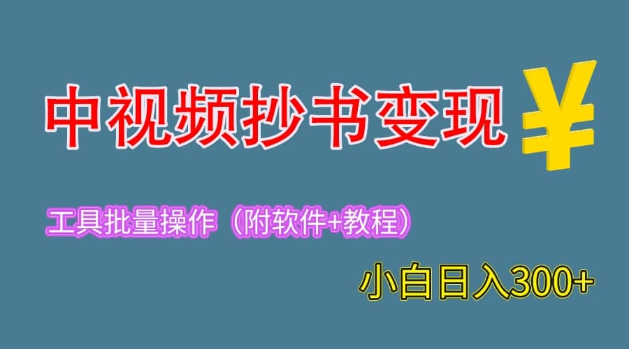 2023中视频抄书变现（附工具+教程），一天300+，特别适合新手操作的副业_金轩项目库