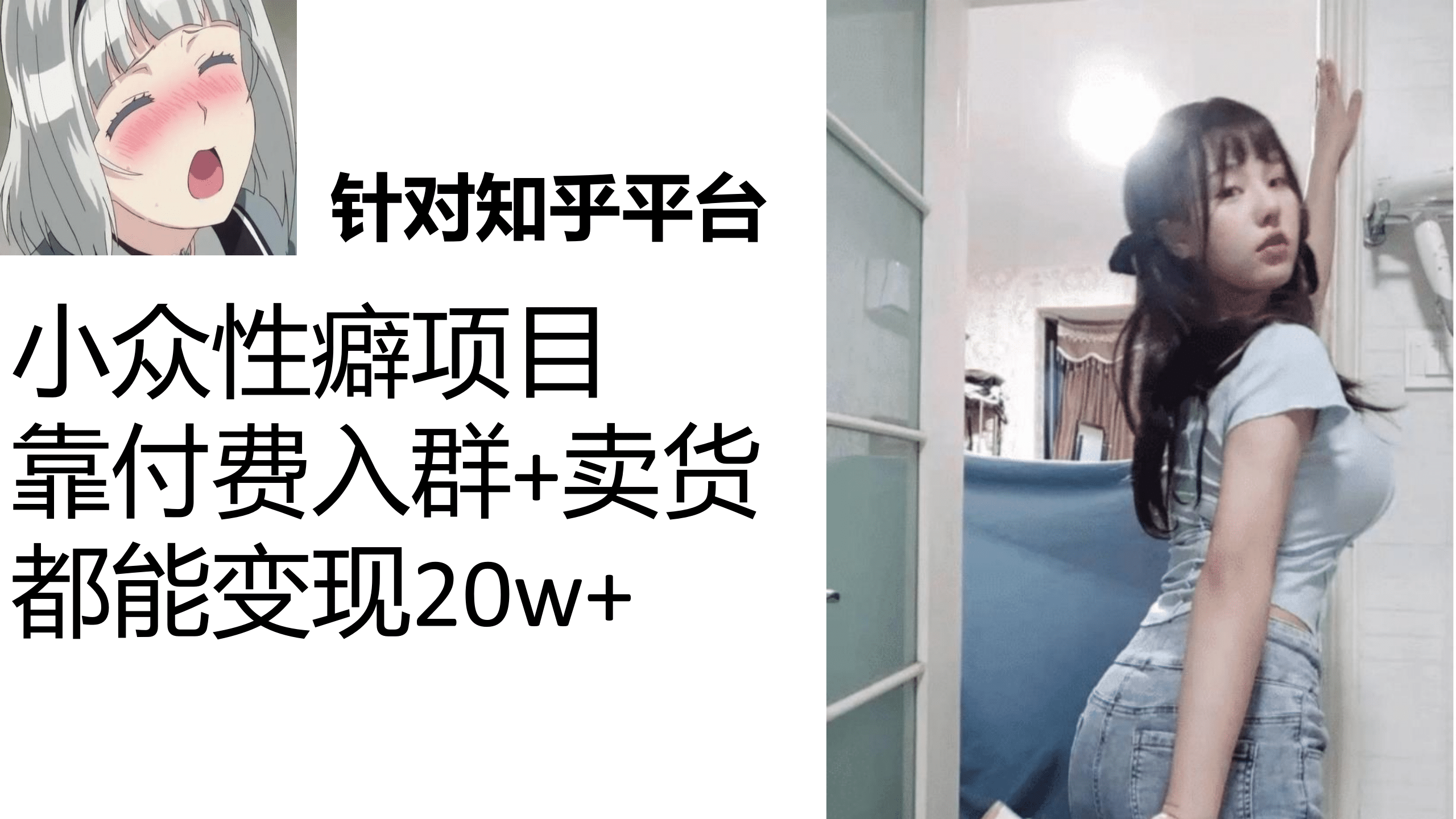 知乎小众性癖项目，Lsp的钱才是最好赚的，付费建群+卖货变现20w_金轩项目库