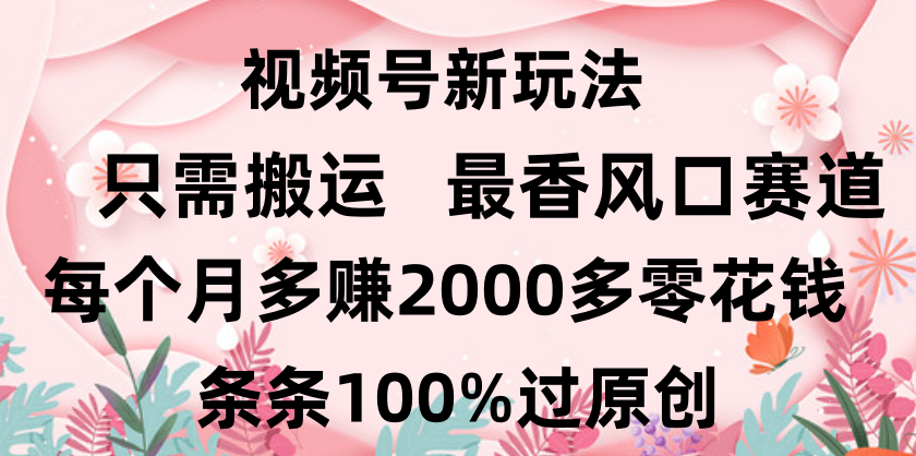 日入2000+，条条100%过原创，视频号最香风口赛道，小白轻松上手_金轩项目库