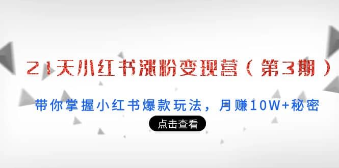 21天小红书涨粉变现营（第3期）：带你掌握小红书爆款玩法，月赚10W+秘密_金轩项目库