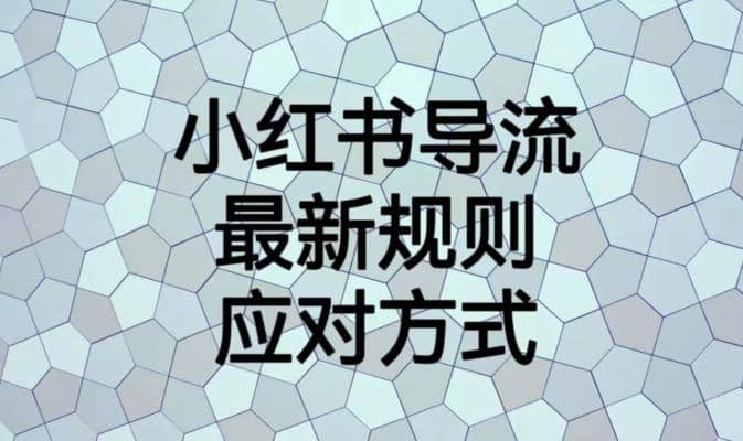 小红书导流最新规则应对方式【揭秘】_金轩项目库