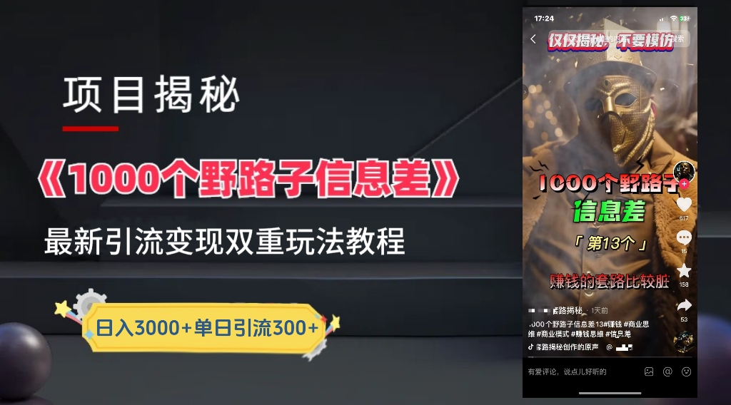 最新一千个野路子信息差玩法教程如何变现＋引流的玩法具体拆解！！！_金轩项目库