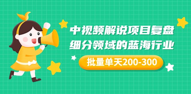 某付费文章：中视频解说项目复盘：细分领域的蓝海行业 批量单天200-300收益_金轩项目库