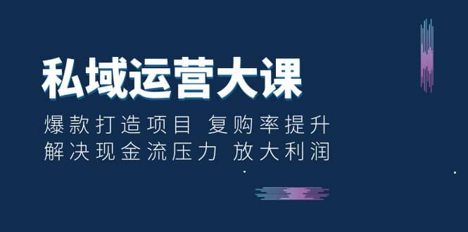 私域运营大课：爆款打造项目 复购率提升 解决现金流压力 放大利润_金轩项目库