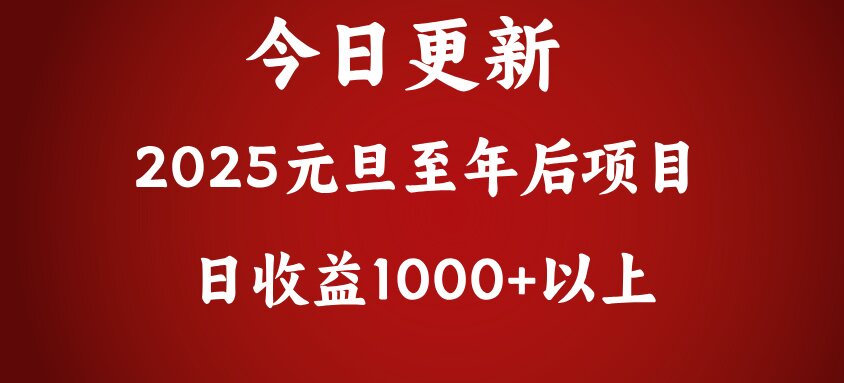 翻身项目，日收益1000+以上_金轩项目库