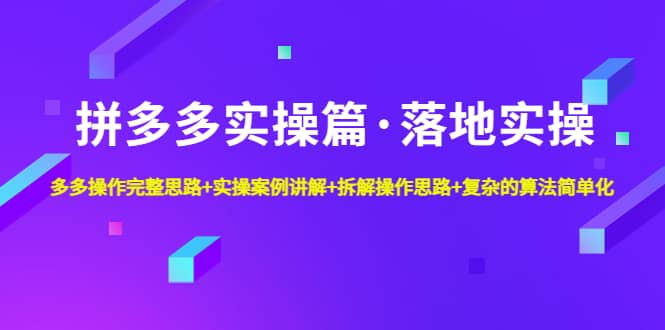 拼多多实操篇·落地实操 完整思路+实操案例+拆解操作思路+复杂的算法简单化_金轩项目库