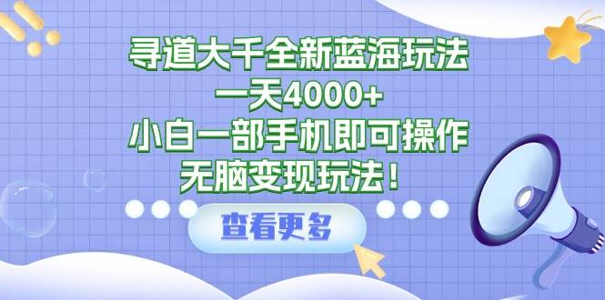 寻道大千全新蓝海玩法，一天4000+，小白一部手机即可操作，无脑变现玩法！_金轩项目库