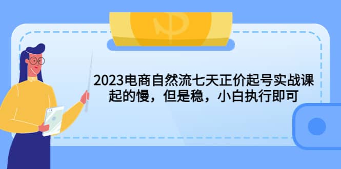 2023电商自然流七天正价起号实战课：起的慢，但是稳，小白执行即可_金轩项目库