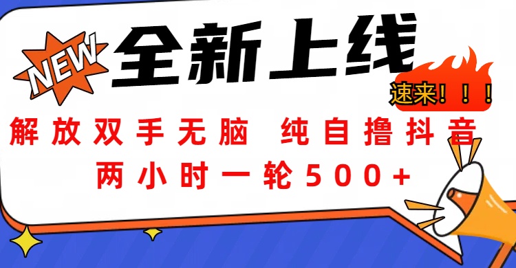 解放双手无脑 纯自撸抖音 两小时一轮500+_金轩项目库