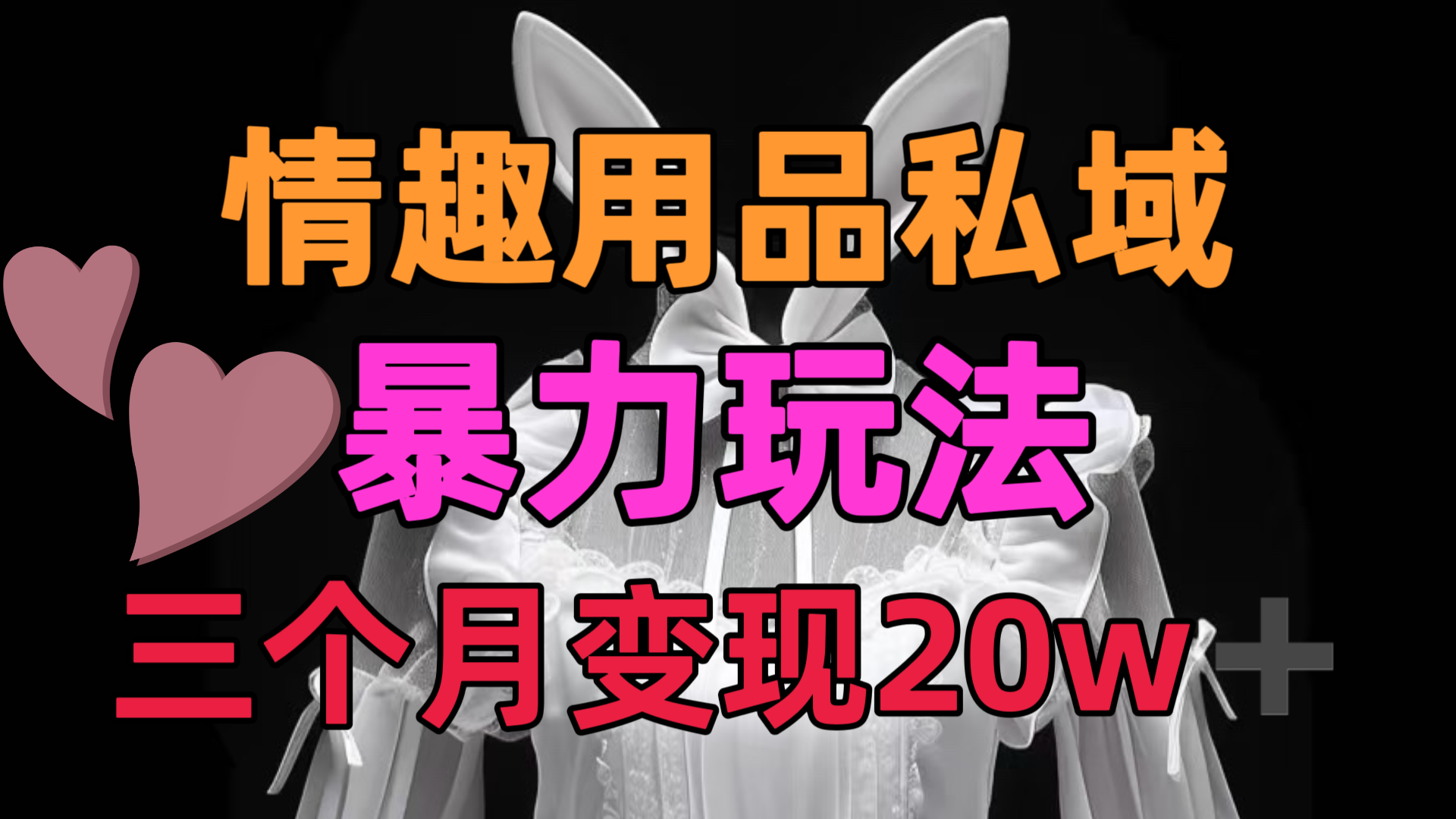 情趣用品私域，25年最新暴力玩法，三个月变现20w➕_金轩项目库