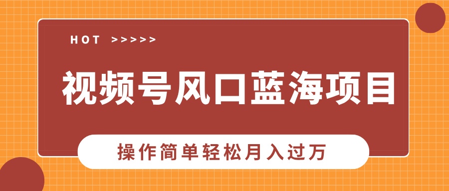 视频号风口蓝海项目，中老年人的流量密码，操作简单轻松月入过万_金轩项目库