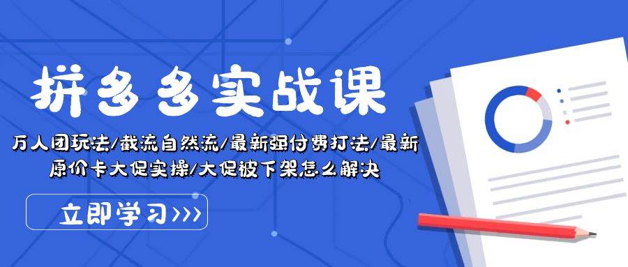 拼多多·实战课：万人团玩法/截流自然流/最新强付费打法/最新原价卡大促.._金轩项目库