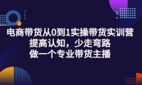 电商带货从0到1实操带货实训营:提高认知,少走弯路,做一个专业带货主播_金轩项目库