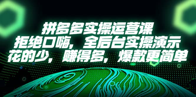 拼多多实操运营课：拒绝口嗨，全后台实操演示，花的少，赚得多，爆款更简单_金轩项目库